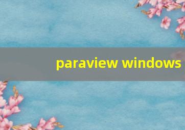 paraview windows